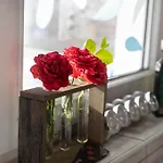 Bird Nest 2 Room Apartment